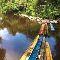 Exploring the Wonders of Gua Mulu