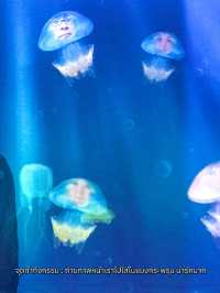 พาท่องอาณาจักรแมงกะพรุน ที่ sea jelly spectacular🪼