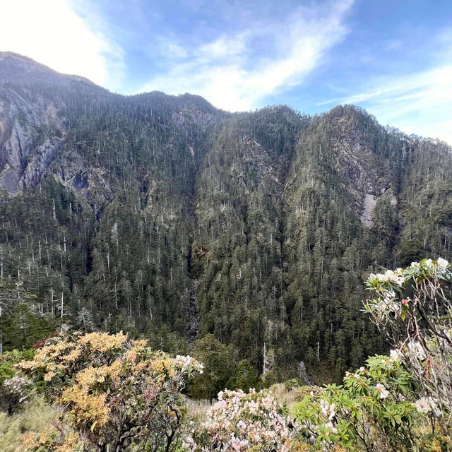 Conquering Yushan Main Peak: A Thrilling Dayhike Adventure