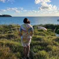 🌴 Discover the Serenity of Lord Howe Island