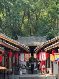宏偉的樂山大佛及景區