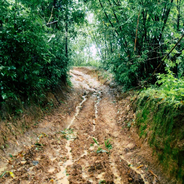 น้ำตกรูปหัวใจ เปรโต้ะลอซู🌳🌩️