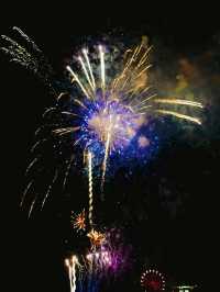 【千葉】牧場で花火！マザー牧場🎇