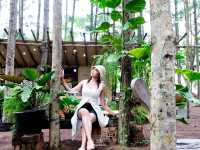 ภูผา ป่าสน ราชบุรี