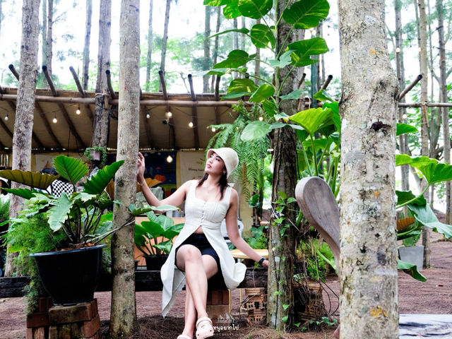 ภูผา ป่าสน ราชบุรี