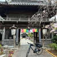 四國遍路+瀨戶內海單車遊