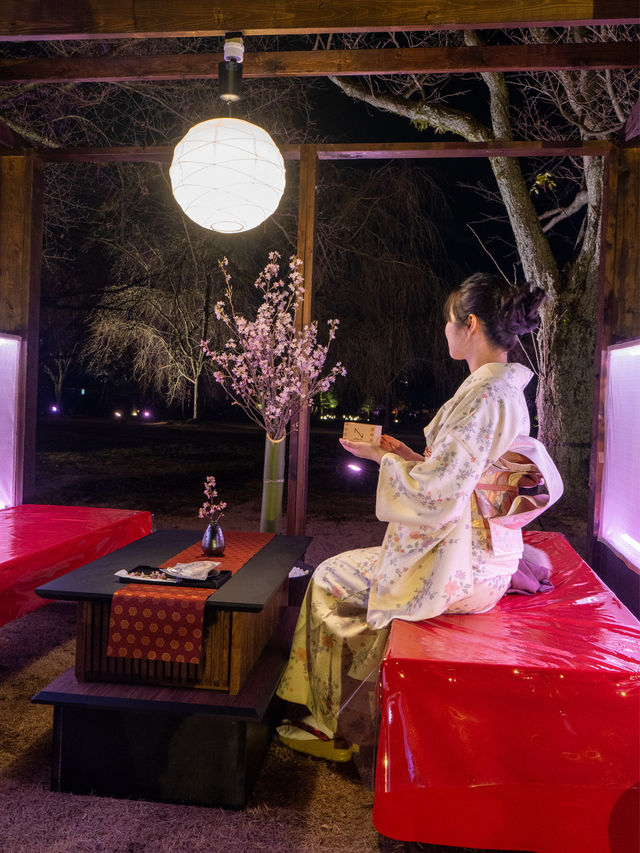 〜京都府〜世界遺産二条城桜まつり
