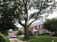 หมู่บ้านน่าอยู่Alington village at Shirlington,USA