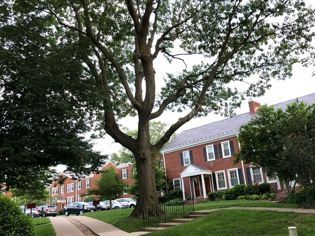 หมู่บ้านน่าอยู่Alington village at Shirlington,USA
