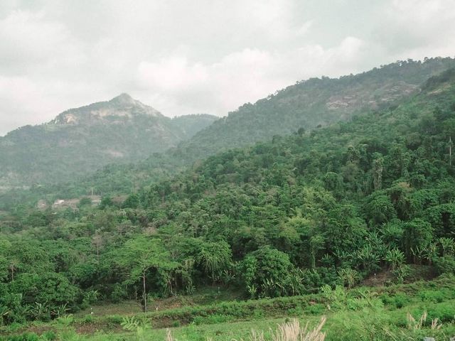 เขื่อนขุนด่านปราการชล@นครนายก