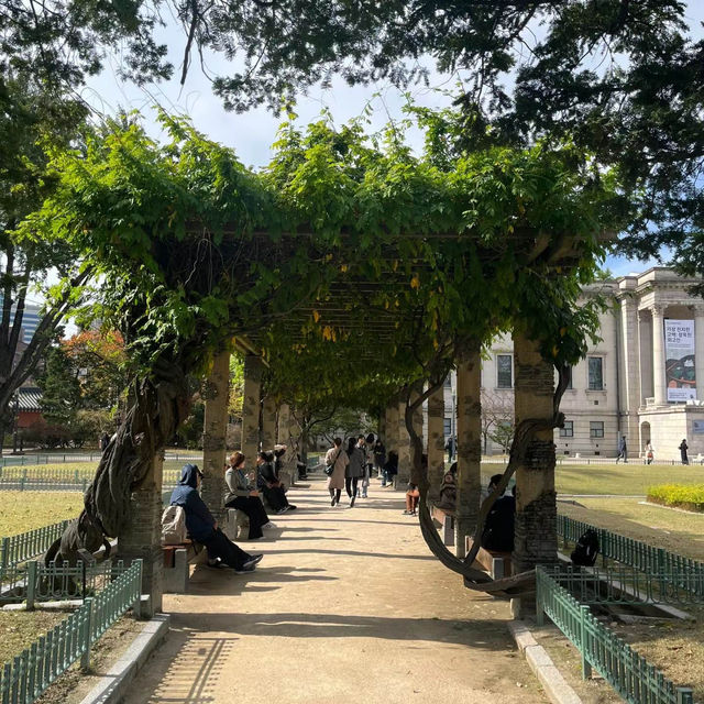 釜山美術館：現代藝術魅力