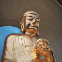 佛甲寺～感受自然禪意的好地方！
