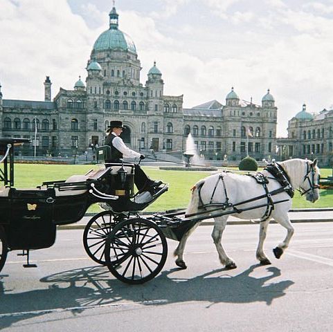 Visit the great Victorian architecture & Harbour 🇨🇦