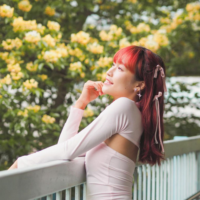 香港🇭🇰 街頭花海😍 魚木樹花季🌸