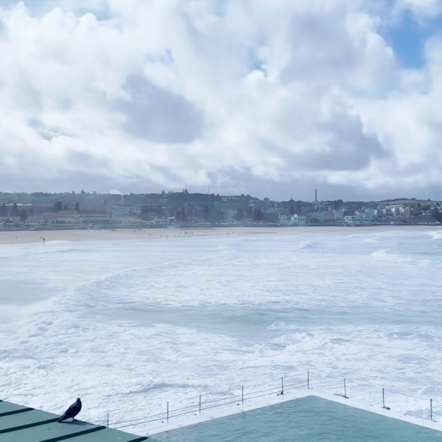 Sun, Surf, and Pure Bliss: Bondi Beach Unplugged 🇦🇺