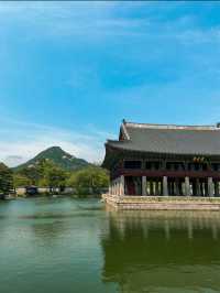 Sunny Day at Gyeongbokgung Palace in Seoul 🇰🇷