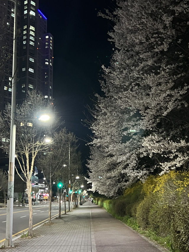 오창 호수 공원, 야경 맛집, 산책하기 좋은 곳