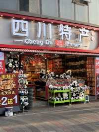 Best Things to see in Downtown Chengdu, China 🇨🇳