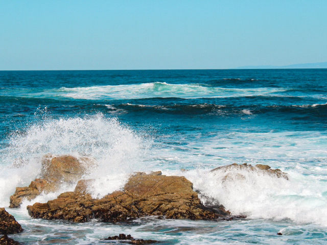 Postcards from 17 Mile Drive, California