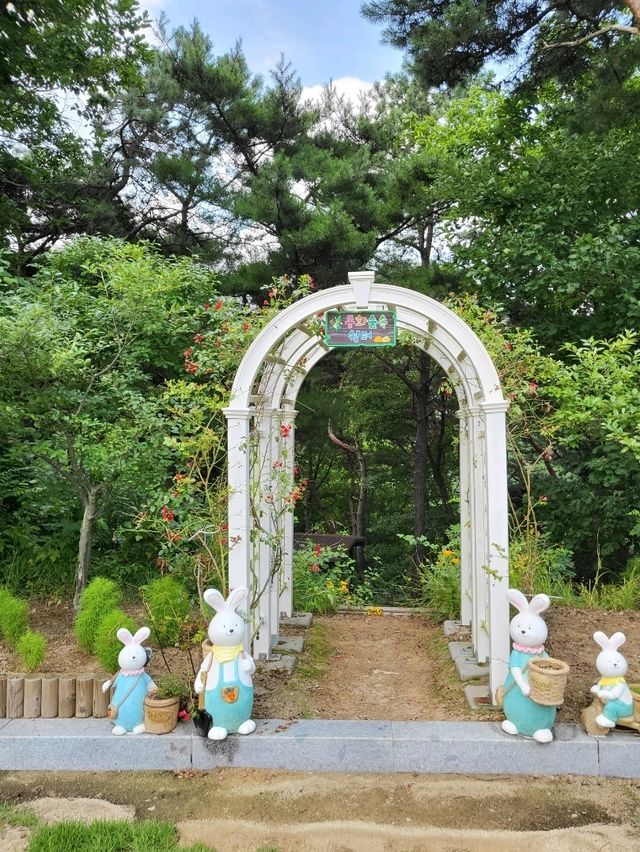 유럽수국 만개한 무료입장 동화마을