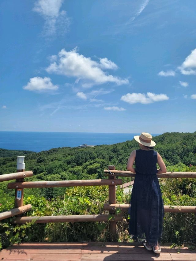 예쁜 포토존과 동해바다 직관하는 영덕여행지💙