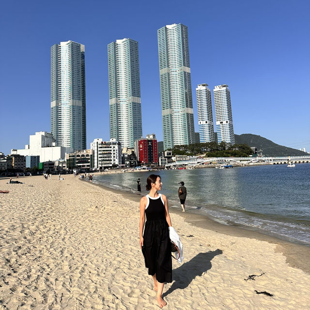 푸른 바다와 갈매기가 반겨주는 부산 송도🐦