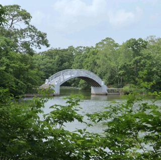 北海道函館近郊之旅｜大沼公園｜攝影｜