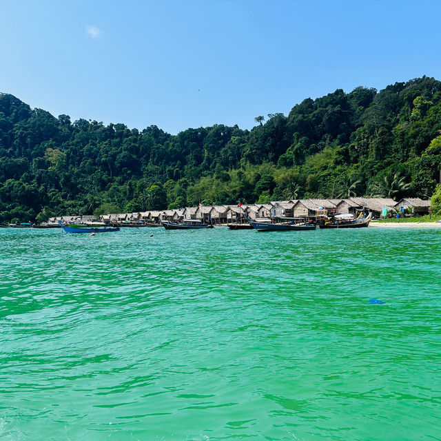 หมู่เกาะสุรินทร์ สุดยอดปะการังน้ำตื้น
