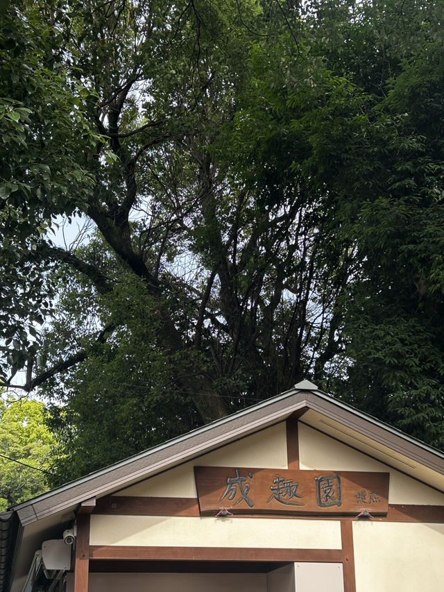 🌿 **水前寺成趣園 - 熊本の名勝回遊式庭園** 🌿