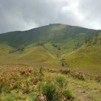 GRASSLANDS OF SAVANNAH HILLS 