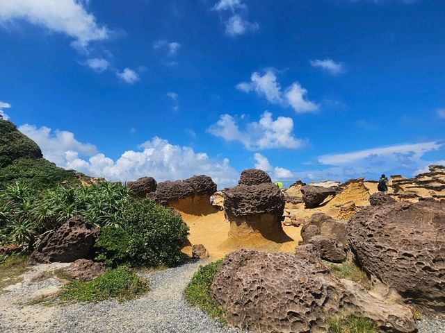 Beauty of Nature - Yehliu Geopark in New Taipei, Taiwan