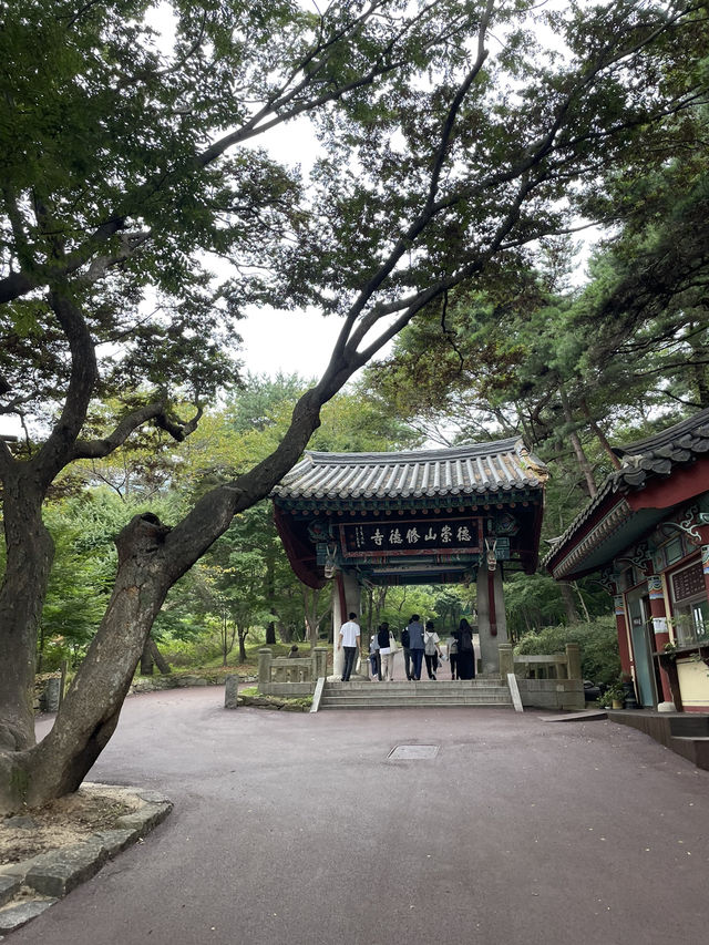 템플스테이도 가능한 절 ’수덕사‘