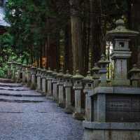 🏯高良大社🌿 景色綺麗 🏯