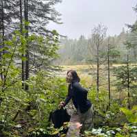 Algonquin park in Ontario, Canada