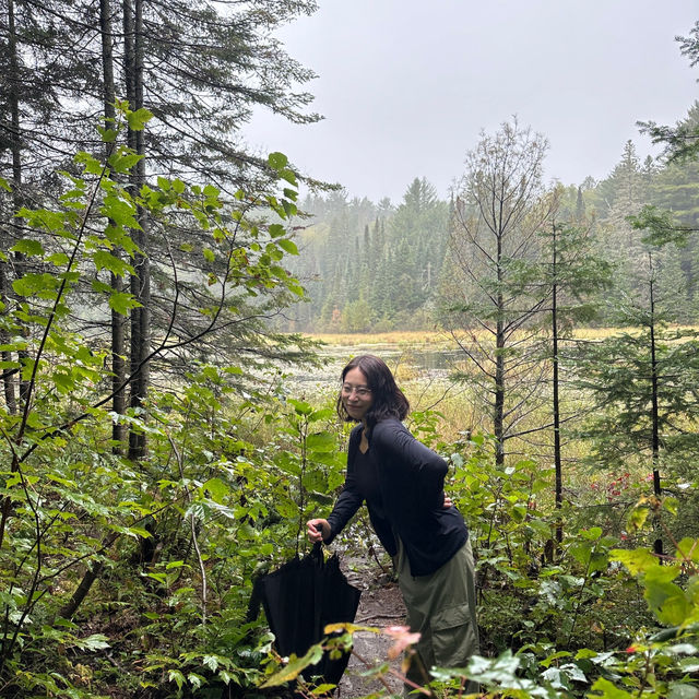 Algonquin park in Ontario, Canada