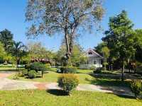  🌳The Resort 
