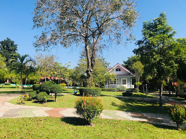 🌳The Resort 