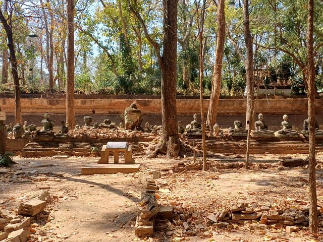 清邁烏懞寺:泰國最神秘的森林隧道寺廟