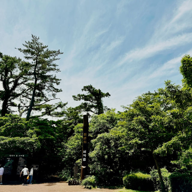 Bijarim Forest