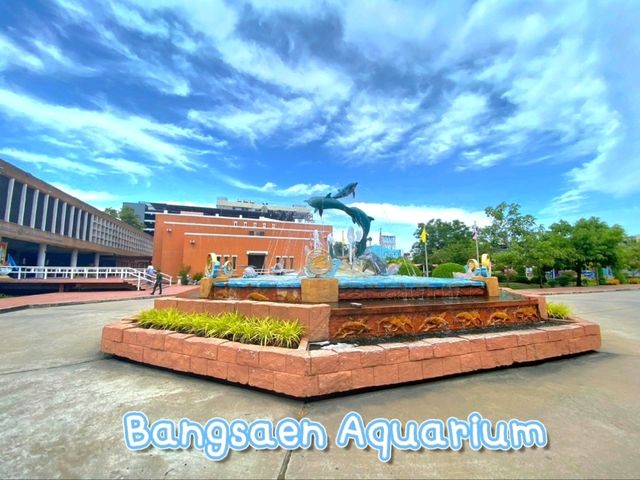 อควาเรียมบางแสน: อควาเรียมที่ไม่ควรพลาด 🐠