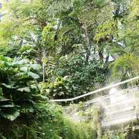【韓国】約31000種類の植物が見られるソウル植物園🪴