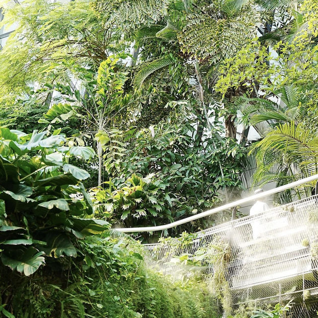【韓国】約31000種類の植物が見られるソウル植物園🪴