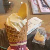 홋카이도대학 박물관 탐방