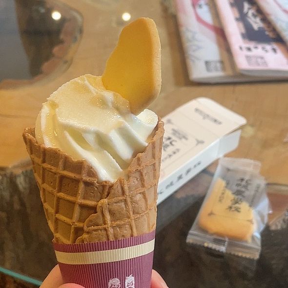 홋카이도대학 박물관 탐방