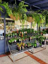 🇦🇺 Unique Garden-Themed Cafe on Beerburrum, QLD, Australia