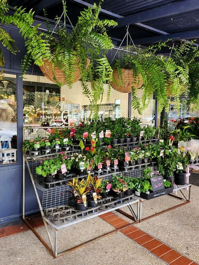 🇦🇺 Unique Garden-Themed Cafe on Beerburrum, QLD, Australia