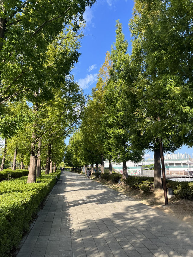 부산 피크닉은 여기입니다