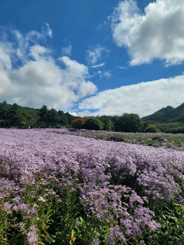 현시각 가장 아름다운 문경여행지💜