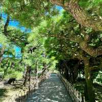 花田苑：鳥語花香的日本庭院夢🌸🐟