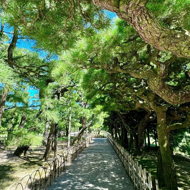 花田苑：鳥語花香的日本庭院夢🌸🐟